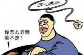 商水企业清欠服务